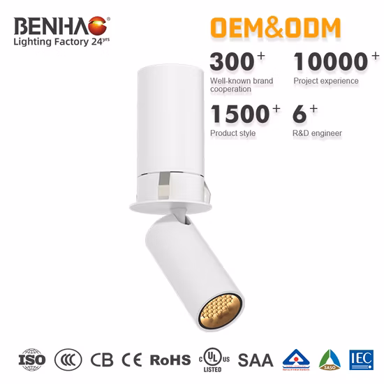 Super Skylite Drop Lights Silver LED Lights pour lustres en verre à plafond élevé Plafonnier en cristal moderne LED