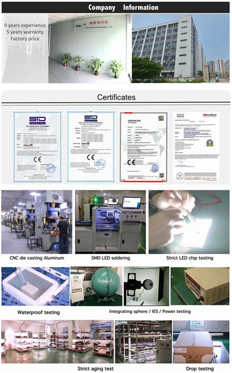 170lm/W Post Top Parking Lot Road Garden Pathway Highway LED Public Area Lighting 30W 40W 50W 60W 80W 90W 100W 120W 150W 200W 240W LED Street Light