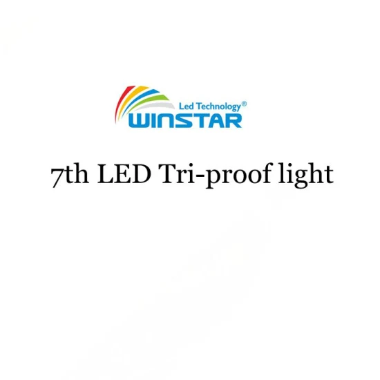 18W IP65 LED Tri-Proof Tube Lumière Réglette Étanche